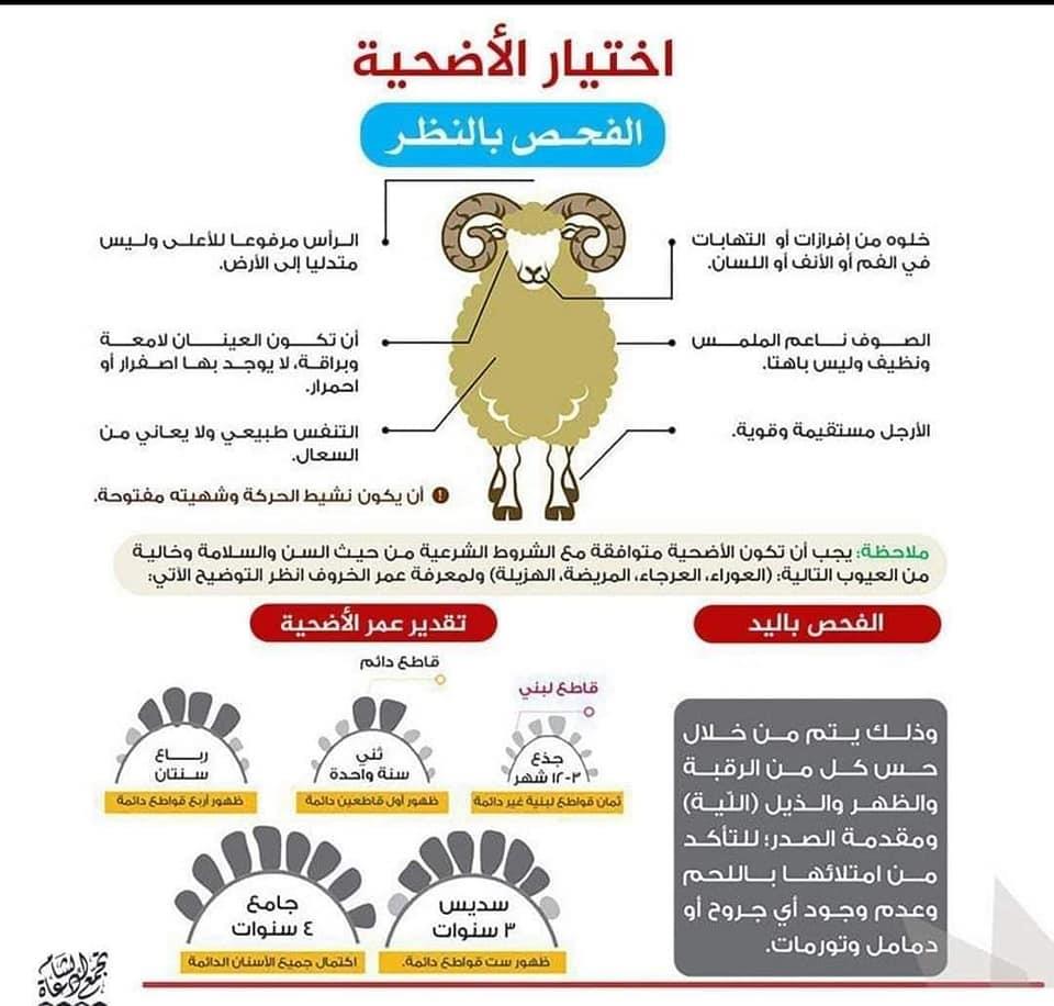 289132159_389994703154400_8129767504820108059_n