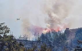 حرائق الغابات غربي تركيا