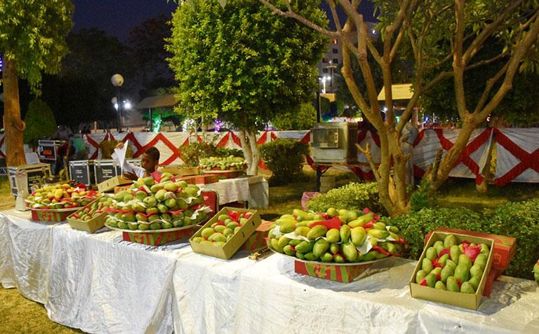 انطلاق مهرجان أسوان الثاني للمانجو