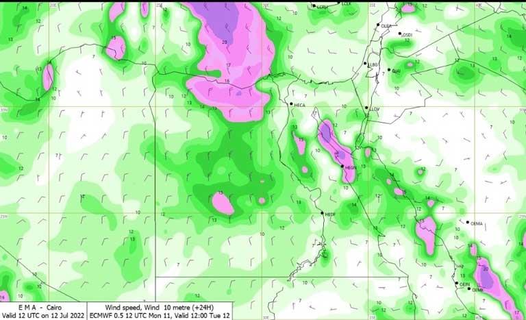 293563902_406309578194282_7828391909549102114_n