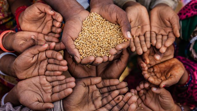 أزمة جوع عالمية  بسبب القمح