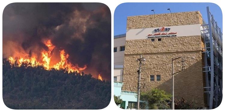صورة مجمعة لمستشفى 57357 فرع طنطا وحرائق غابات الم