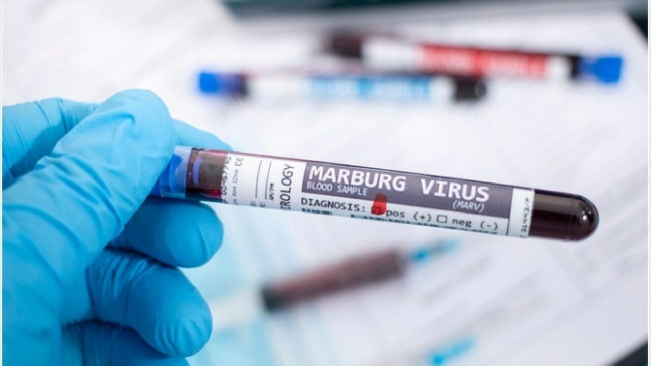 فيروس ماربورج