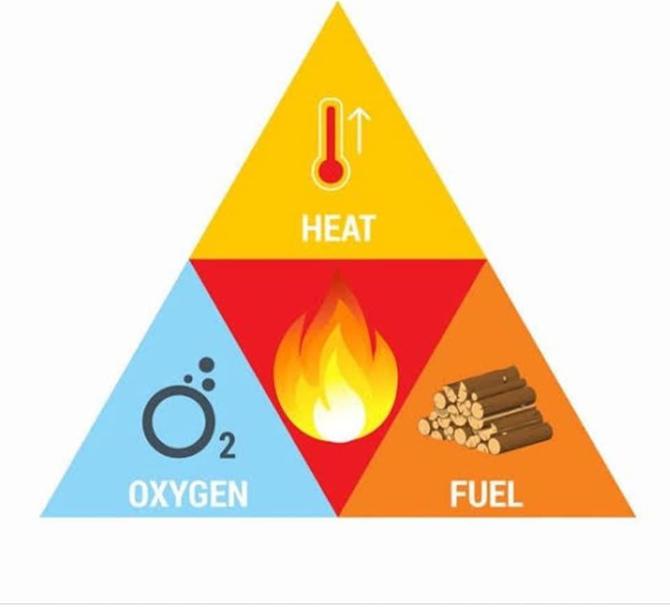 295352960_413325944159312_2339623360524965984_n