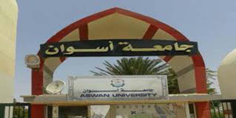 جامعة أسوان