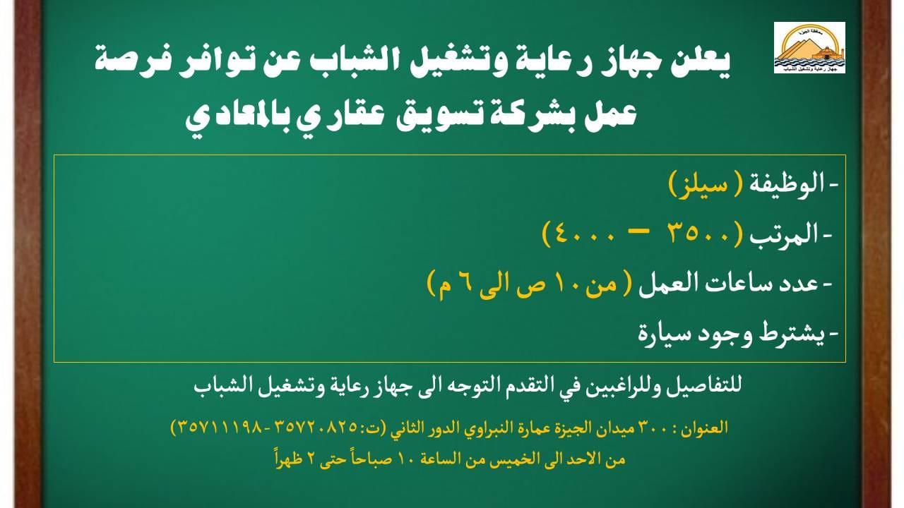 295615774_361175966202295_5478617005209081958_n