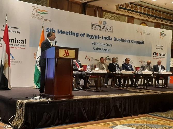 خلال لقاء مجلس الأعمال الهندي بمصر