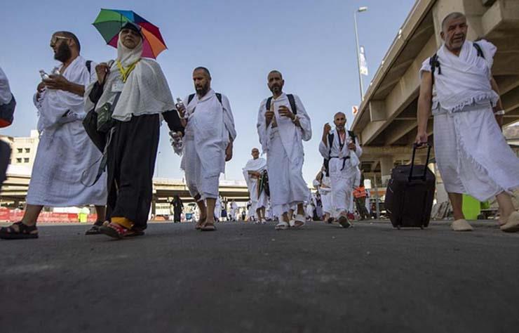 اكتمال تصعيد حجاج السياحة على جبل عرفات منتصف الليلة (8)