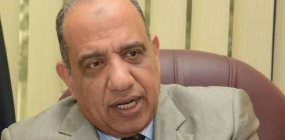 محمود عصمت وزير لقطاع الأعمال                     