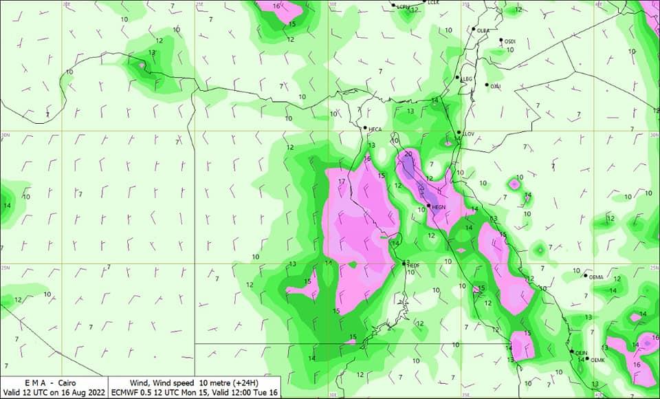 299541869_429346572557249_3934509352693829095_n