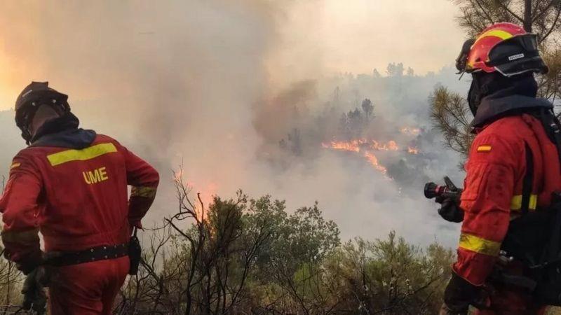 شهدت إسبانيا حوالي 400 حريق غابات في 2022 وحدها