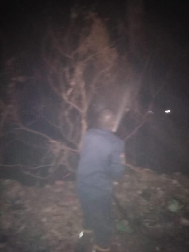 حريق في نبات الحلف والهيش