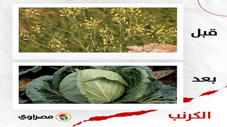 a99db3a2-863b-4c3c-995b-2ffe11355c33