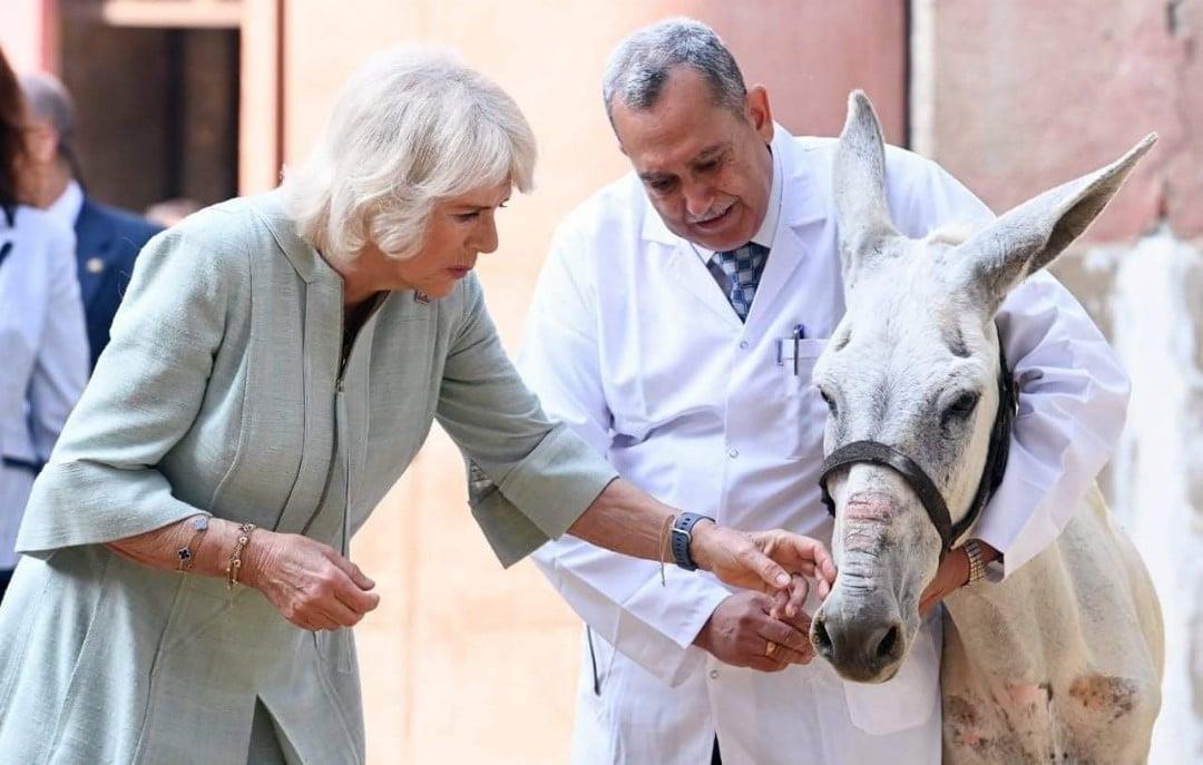 257859663_261549005998656_8632092833053057083_n