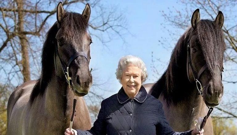 خيول الملكة اليزابيث