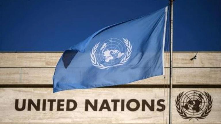 علم الأمم المتحدة                                 