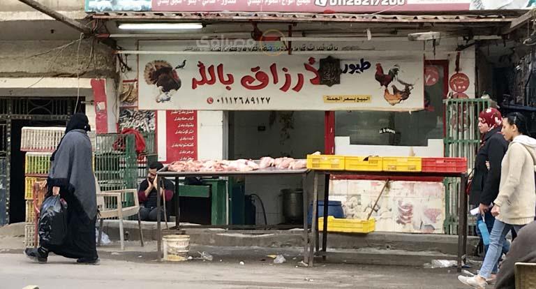 محل بيع دواجن بالمهندسين