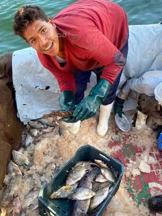 بحيرة السد العالي (5)