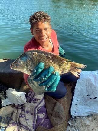 بحيرة السد العالي (8)