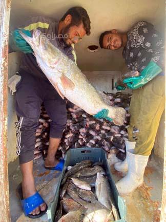 بحيرة السد العالي (10)