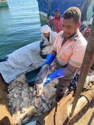 بحيرة السد العالي (12)