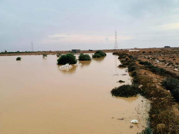 أمطار في الوجه البحري