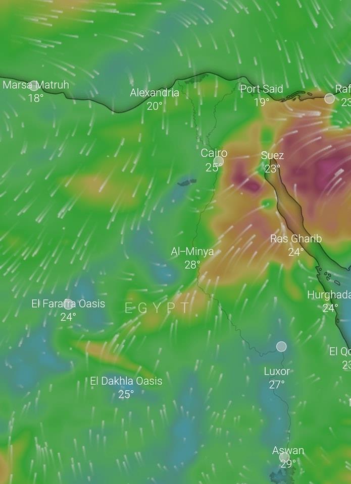 326100786_907600583593394_5064860484420076932_n