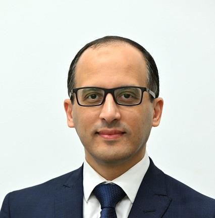 المستشار محمد الحمصانى