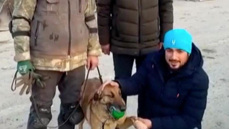 الكلبة ''سيلا'' تنقذ 12 شخصًا بزلزال تركيا 