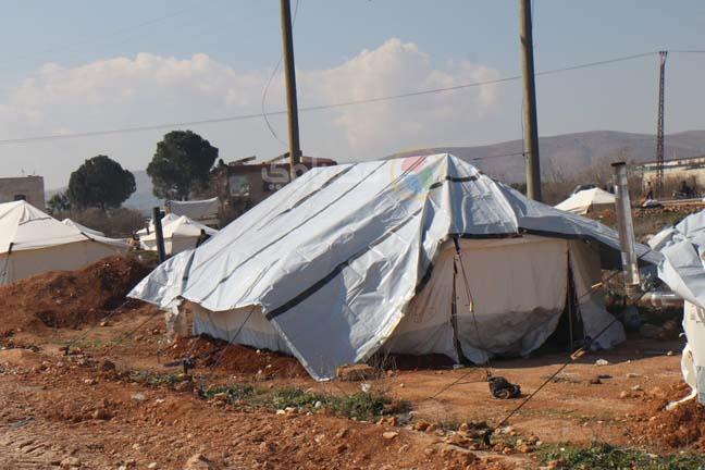 60fb1ab6-491f-4bab-829a-e85137e4c456