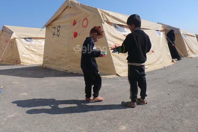 41524814-75f1-44c9-8048-f7174c2cb266