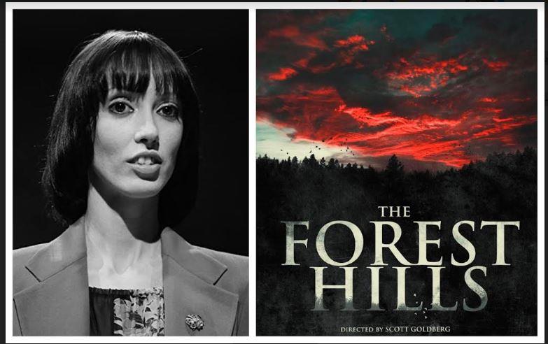 the forest hills