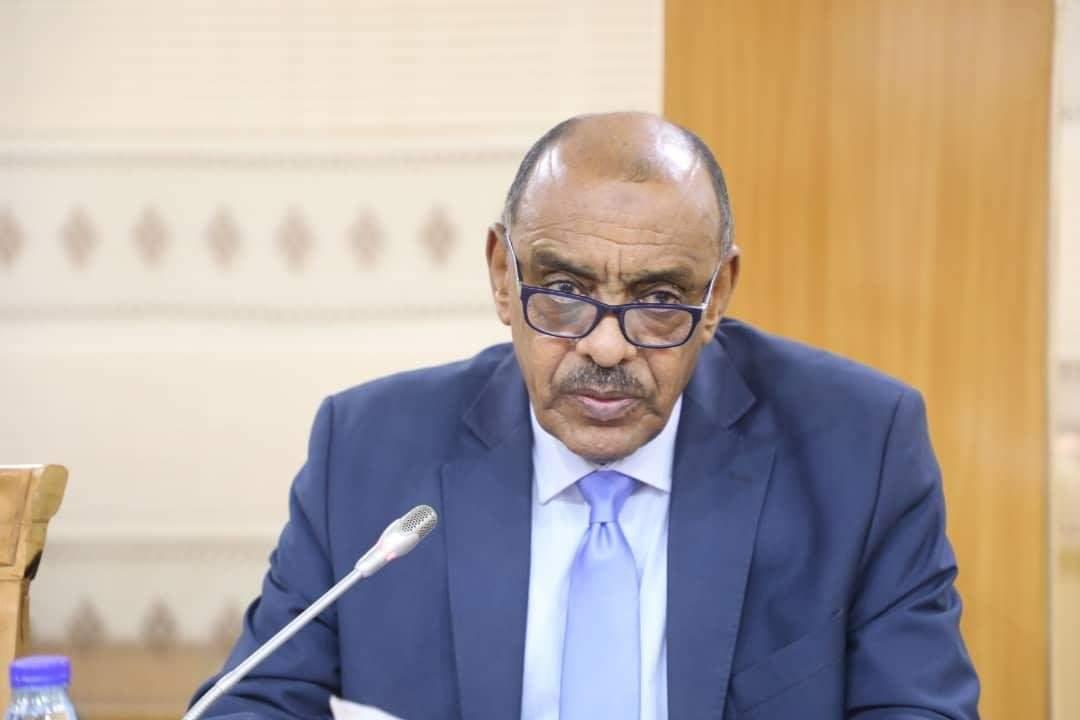 وزير خارجية السودان السفير علي الصادق علي