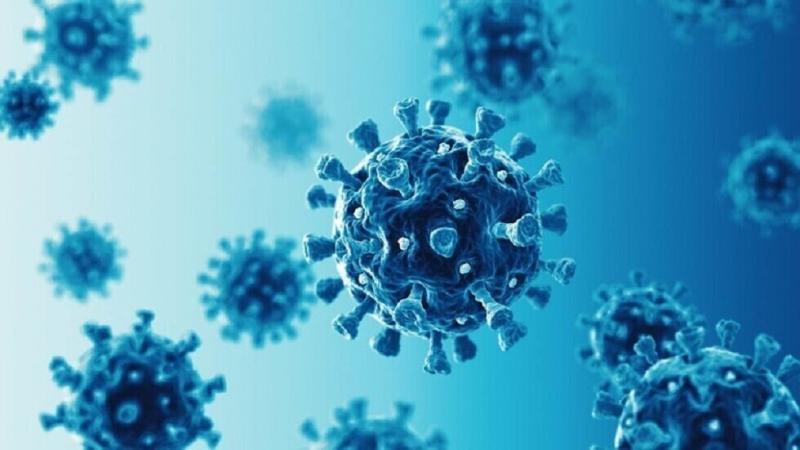 فيروس الإنفلونزا الموسمية