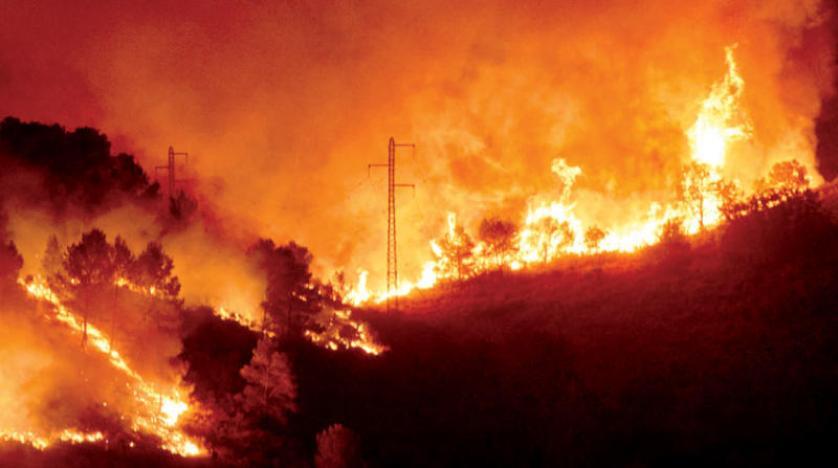حريق كبير بغابات إسبانيا  أرشيفية