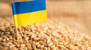  الحبوب الأوكرانية