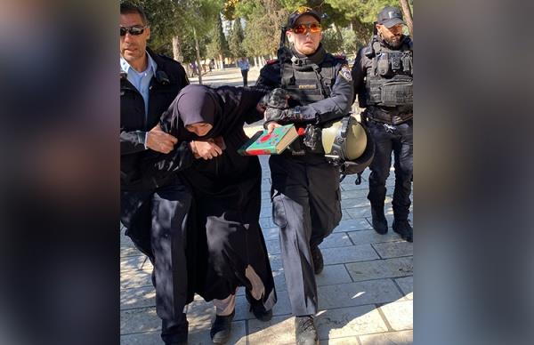 الاحتلال يعتقل فتاة تركية