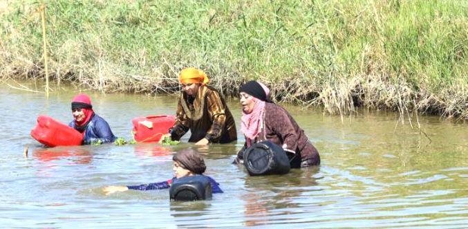 فيلم الترعة