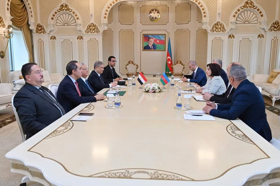 رئيس مجلس النواب يلتقي رئيسة برلمان أذربيجان