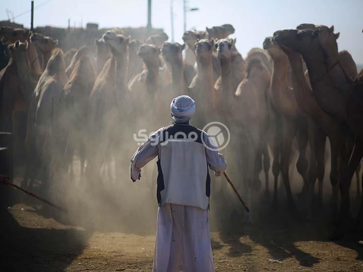 2017_8_30_20_19_29_560