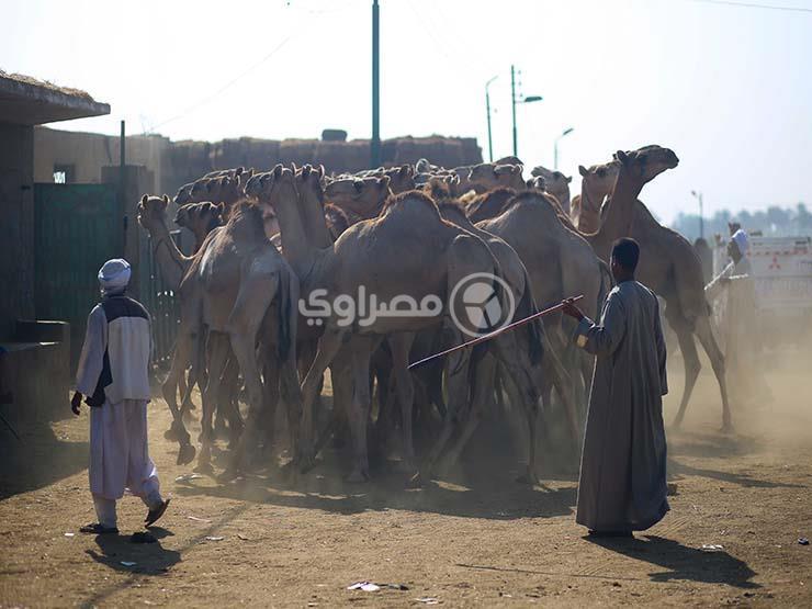 2017_8_30_20_19_21_638