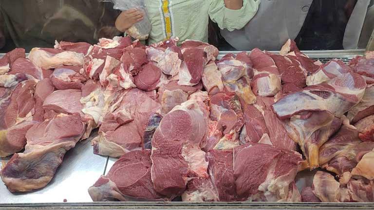 ضخ اللحوم إلى فروع المجمعات الاستهلاكية 