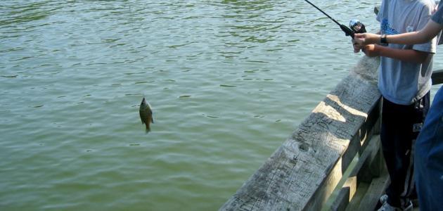عصابة الصيد المُخالف ببحيرة البرلس