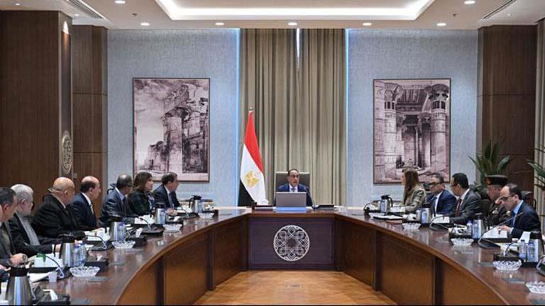 متوسط أعداد المواليد في مصر يوميا 5599 مولودًا