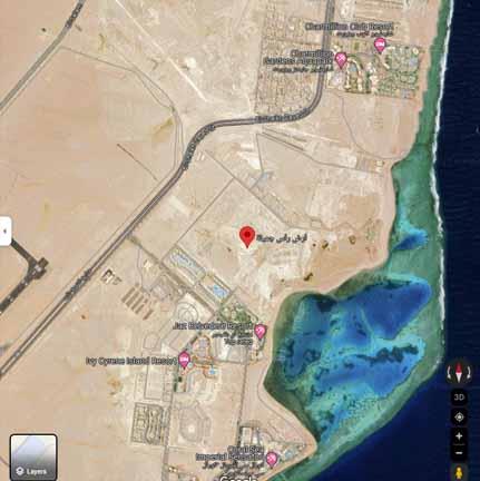 رأس جميلة .png 1 