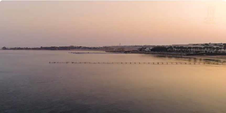 رأس جميلة .png 2 