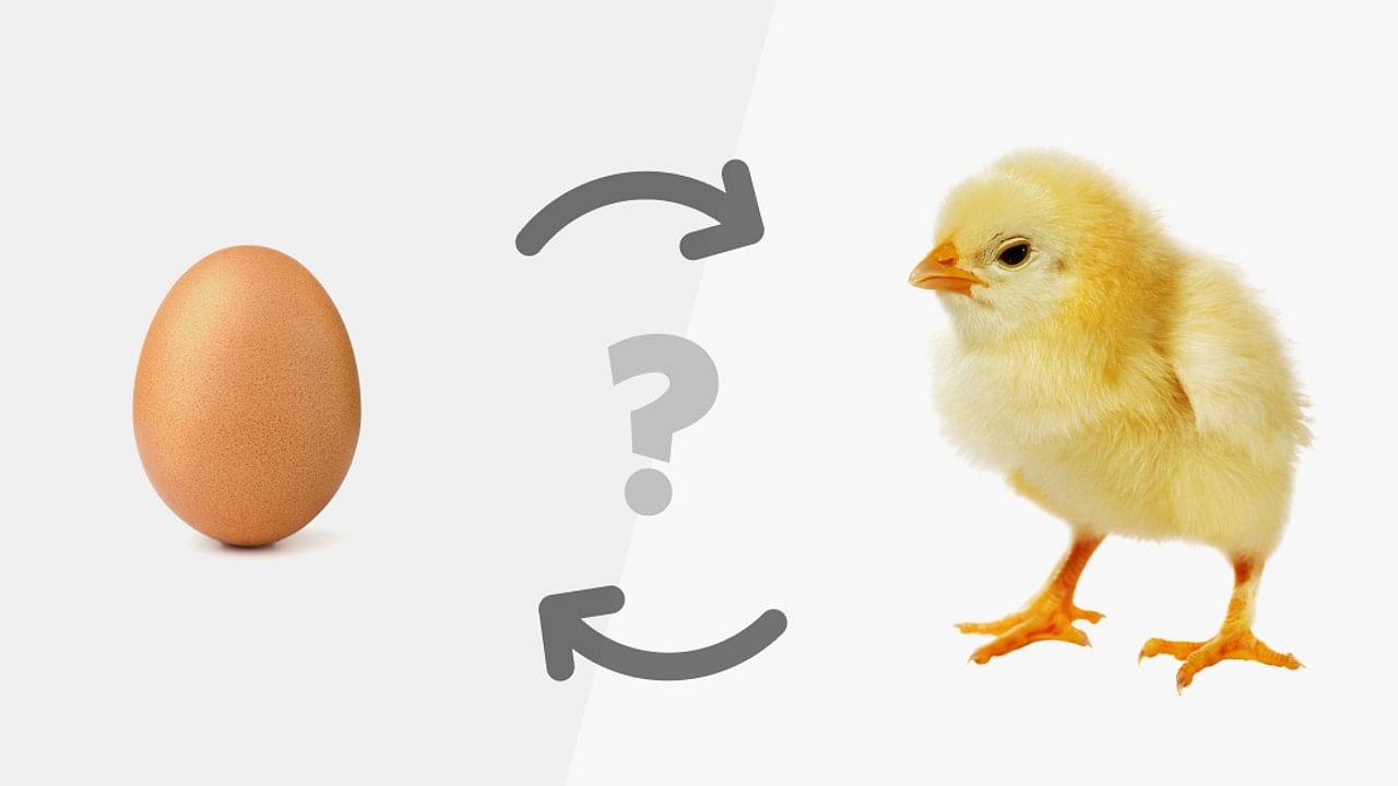 البيضة أولا بالنسبة للطيور.. لكن الأمر ليس محسوما 