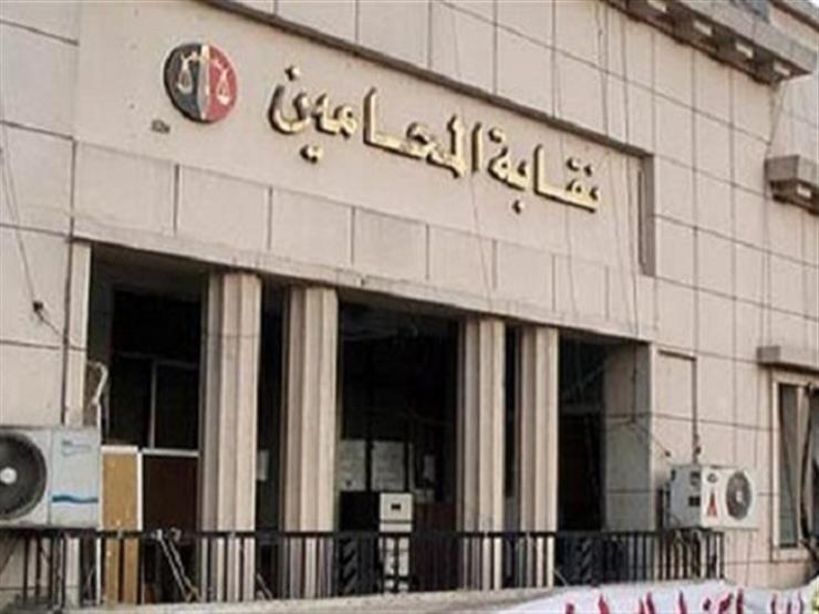 نقابة المحامين الفرعية في كفر الشيخ