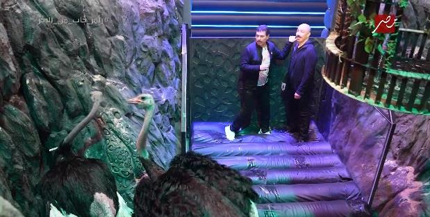 طارق لطفي ومحمد رياض في غرفة النعام