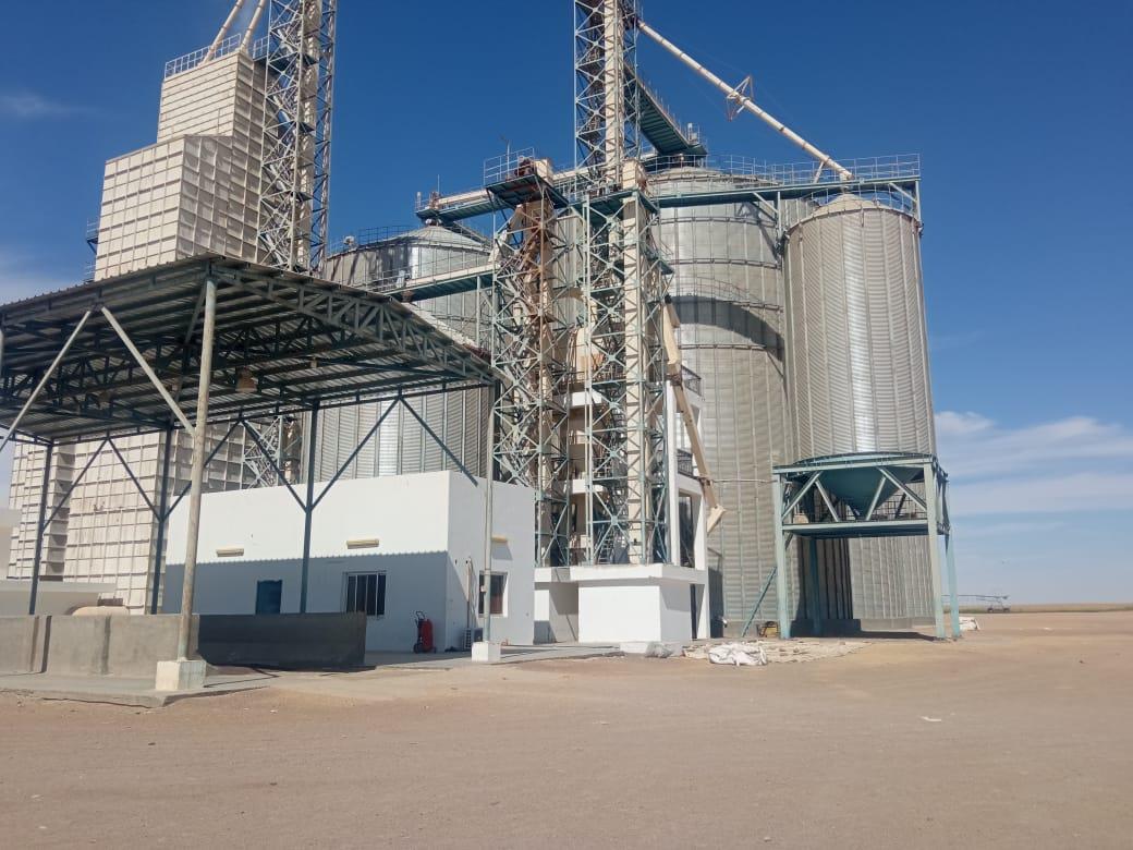 موسم حصاد القمح